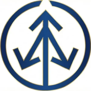 Linkedin Video Downloader logo